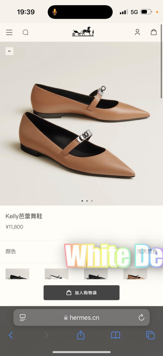 하얀악마 에르 켈리플랫 (1).jpg